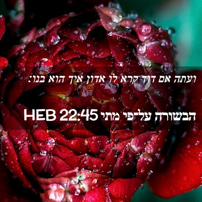 Picture 02 - הבשורה על־פי מתי 22:45 HEB - ועתה אם דוד קרא לו אדון איך - Bible Verse Picture