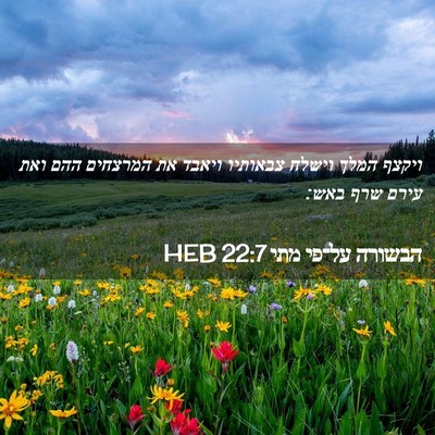Picture 02 - הבשורה על־פי מתי 22:7 HEB - ויקצף המלך וישלח צבאותיו - Bible Verse Picture