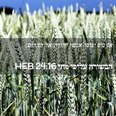 Picture 02 - הבשורה על־פי מתי 24:16 HEB - אז נוס ינוסו אנשי יהודה אל - Bible Verse Picture