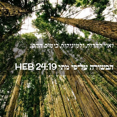 Picture 02 - הבשורה על־פי מתי 24:19 HEB - ואוי להרות ולמיניקות בימים - Bible Verse Picture