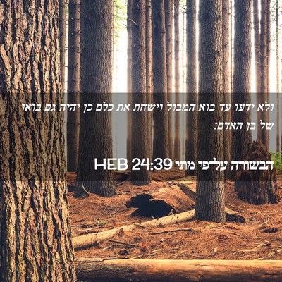 Picture 02 - הבשורה על־פי מתי 24:39 HEB - ולא ידעו עד בוא המבול וישחת - Bible Verse Picture
