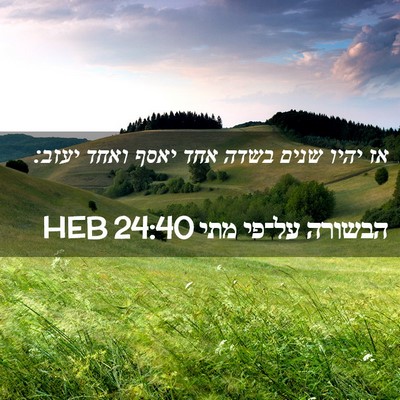 Picture 02 - הבשורה על־פי מתי 24:40 HEB - אז יהיו שנים בשדה אחד יאסף - Bible Verse Picture