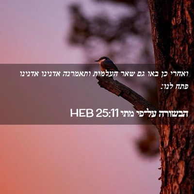 Picture 02 - הבשורה על־פי מתי 25:11 HEB - ואחרי כן באו גם שאר העלמות - Bible Verse Picture
