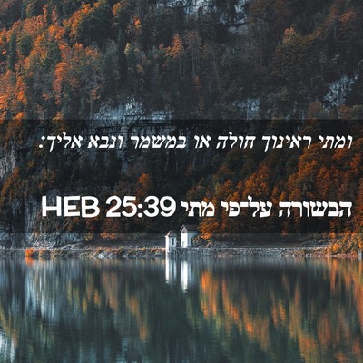 Picture 02 - הבשורה על־פי מתי 25:39 HEB - ומתי ראינוך חולה או במשמר - Bible Verse Picture
