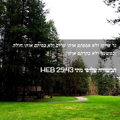 Picture 02 - הבשורה על־פי מתי 25:43 HEB - גר הייתי ולא אספתם אותי - Bible Verse Picture