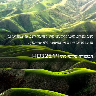 Picture 02 - הבשורה על־פי מתי 25:44 HEB - וענו גם הם ואמרו אדנינו מתי - Bible Verse Picture