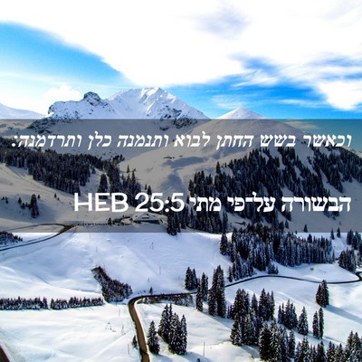 Picture 02 - הבשורה על־פי מתי 25:5 HEB - וכאשר בשש החתן לבוא ותנמנה - Bible Verse Picture