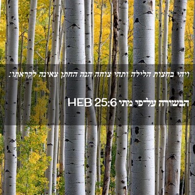 Picture 02 - הבשורה על־פי מתי 25:6 HEB - ויהי בחצות הלילה ותהי צוחה - Bible Verse Picture