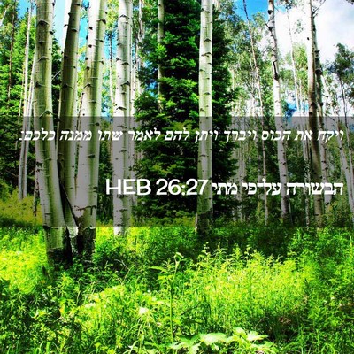 Picture 02 - הבשורה על־פי מתי 26:27 HEB - ויקח את הכוס ויברך ויתן להם - Bible Verse Picture