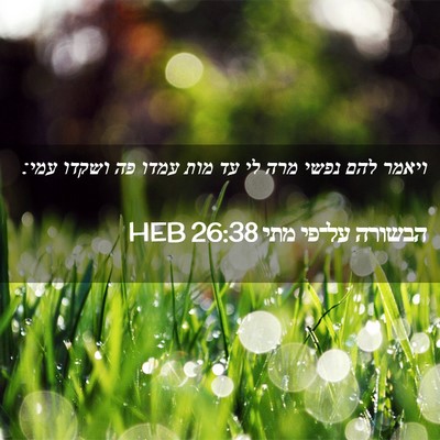 Picture 02 - הבשורה על־פי מתי 26:38 HEB - ויאמר להם נפשי מרה לי עד - Bible Verse Picture