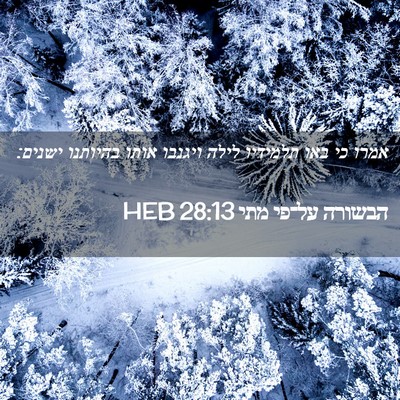 Picture 02 - הבשורה על־פי מתי 28:13 HEB - אמרו כי באו תלמידיו לילה - Bible Verse Picture