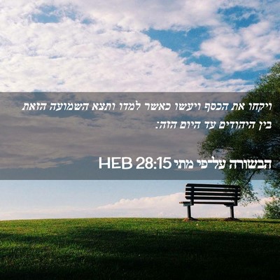 Picture 02 - הבשורה על־פי מתי 28:15 HEB - ויקחו את הכסף ויעשו כאשר - Bible Verse Picture