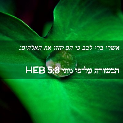Picture 02 - הבשורה על־פי מתי 5:8 HEB - אשרי ברי לבב כי הם יחזו את - Bible Verse Picture