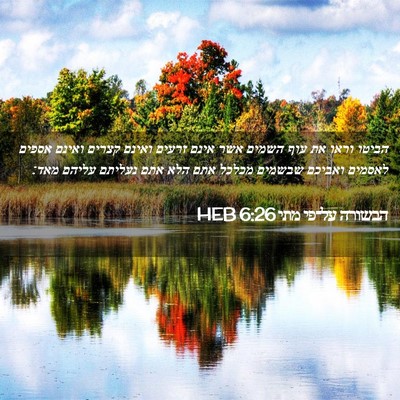 Picture 02 - הבשורה על־פי מתי 6:26 HEB - הביטו וראו את עוף השמים אשר - Bible Verse Picture