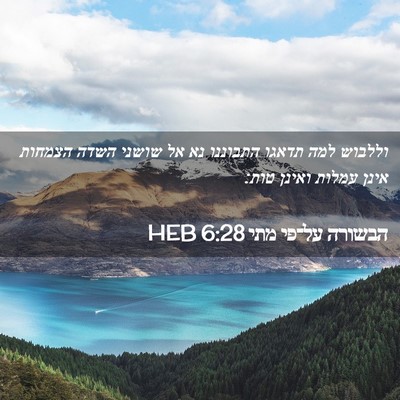 Picture 02 - הבשורה על־פי מתי 6:28 HEB - וללבוש למה תדאגו התבוננו - Bible Verse Picture