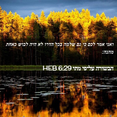 Picture 02 - הבשורה על־פי מתי 6:29 HEB - ואני אמר לכם כי גם שלמה בכל - Bible Verse Picture