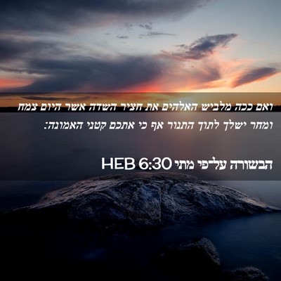 Picture 02 - הבשורה על־פי מתי 6:30 HEB - ואם ככה מלביש האלהים את - Bible Verse Picture
