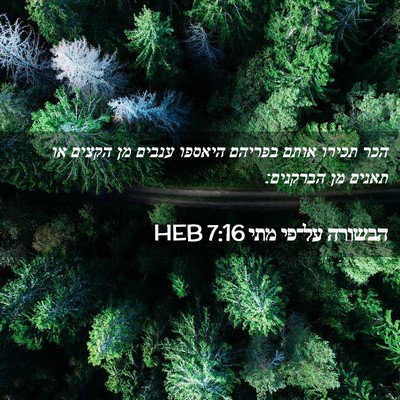 Picture 02 - הבשורה על־פי מתי 7:16 HEB - הכר תכירו אותם בפריהם - Bible Verse Picture