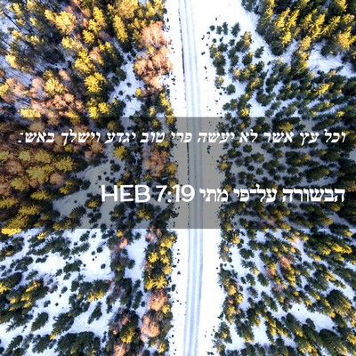 Picture 02 - הבשורה על־פי מתי 7:19 HEB - וכל עץ אשר לא יעשה פרי טוב - Bible Verse Picture
