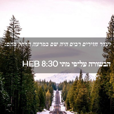 Picture 02 - הבשורה על־פי מתי 8:30 HEB - ועדר חזירים רבים היה שם - Bible Verse Picture