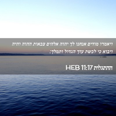 Picture 02 - ההתגלות 11:17 HEB - ויאמרו מודים אנחנו לך יהוה - Bible Verse Picture