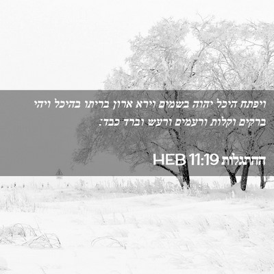 Picture 02 - ההתגלות 11:19 HEB - ויפתח היכל יהוה בשמים וירא - Bible Verse Picture