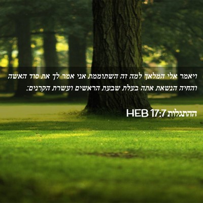 Picture 02 - ההתגלות 17:7 HEB - ויאמר אלי המלאך למה זה - Bible Verse Picture