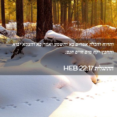 Picture 02 - ההתגלות 22:17 HEB - והרוח והכלה אמרים בא והשמע - Bible Verse Picture