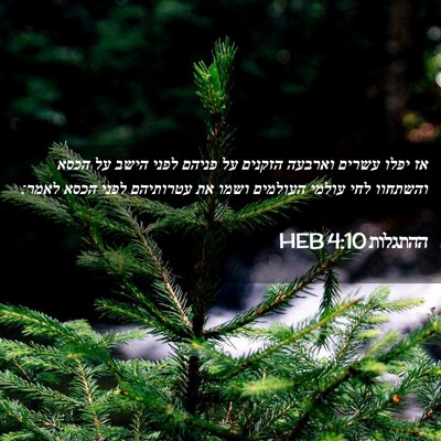 Picture 02 - ההתגלות 4:10 HEB - אז יפלו עשרים וארבעה - Bible Verse Picture