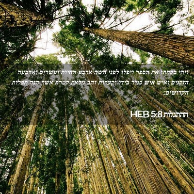 Picture 02 - ההתגלות 5:8 HEB - ויהי בקחתו את הספר ויפלו - Bible Verse Picture