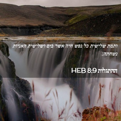 Picture 02 - ההתגלות 8:9 HEB - ותמת שלישית כל נפש חיה אשר - Bible Verse Picture