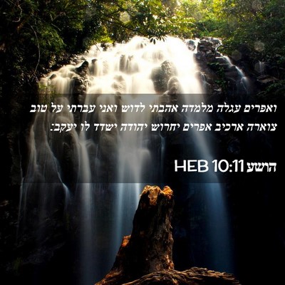 Picture 02 - הושע 10:11 HEB - ואפרים עגלה מלמדה אהבתי - Bible Verse Picture