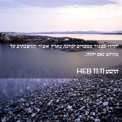 Picture 02 - הושע 11:11 HEB - יחרדו כצפור ממצרים וכיונה - Bible Verse Picture