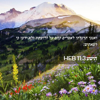 Picture 02 - הושע 11:3 HEB - ואנכי תרגלתי לאפרים קחם על - Bible Verse Picture