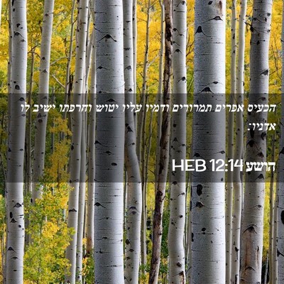 Picture 02 - הושע 12:14 HEB - הכעיס אפרים תמרורים ודמיו - Bible Verse Picture