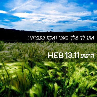 Picture 02 - הושע 13:11 HEB - אתן לך מלך באפי ואקח - Bible Verse Picture