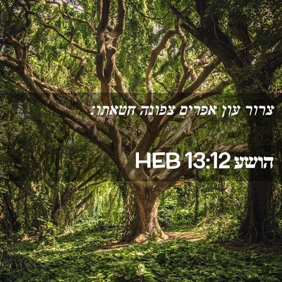 Picture 02 - הושע 13:12 HEB - צרור עון אפרים צפונה - Bible Verse Picture