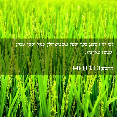 Picture 02 - הושע 13:3 HEB - לכן יהיו כענן בקר וכטל - Bible Verse Picture