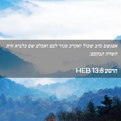 Picture 02 - הושע 13:8 HEB - אפגשם כדב שכול ואקרע סגור - Bible Verse Picture