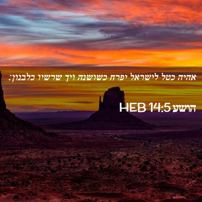 Picture 02 - הושע 14:5 HEB - אהיה כטל לישראל יפרח - Bible Verse Picture