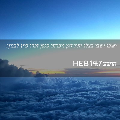 Picture 02 - הושע 14:7 HEB - ישבו ישבי בצלו יחיו דגן - Bible Verse Picture
