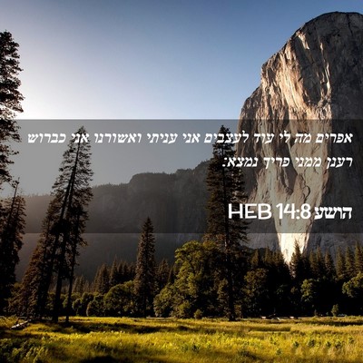 Picture 02 - הושע 14:8 HEB - אפרים מה לי עוד לעצבים אני - Bible Verse Picture