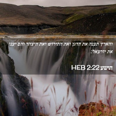 Picture 02 - הושע 2:22 HEB - והארץ תענה את הדגן ואת - Bible Verse Picture