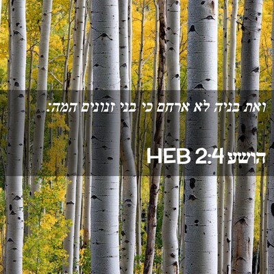 Picture 02 - הושע 2:4 HEB - ואת בניה לא ארחם כי בני - Bible Verse Picture