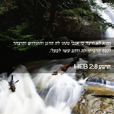 Picture 02 - הושע 2:8 HEB - והיא לא ידעה כי אנכי נתתי - Bible Verse Picture