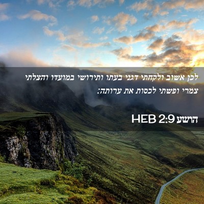 Picture 02 - הושע 2:9 HEB - לכן אשוב ולקחתי דגני בעתו - Bible Verse Picture