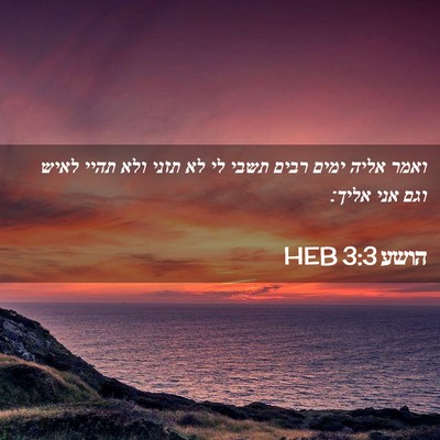 Picture 02 - הושע 3:3 HEB - ואמר אליה ימים רבים תשבי לי - Bible Verse Picture