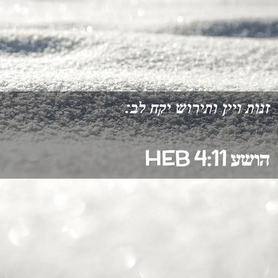 Picture 02 - הושע 4:11 HEB - זנות ויין ותירוש יקח - Bible Verse Picture