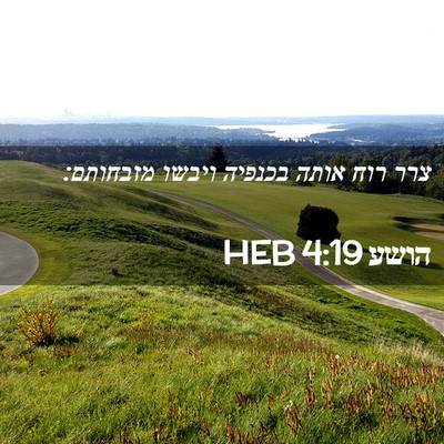 Picture 02 - הושע 4:19 HEB - צרר רוח אותה בכנפיה ויבשו - Bible Verse Picture