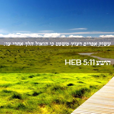 Picture 02 - הושע 5:11 HEB - עשוק אפרים רצוץ משפט כי - Bible Verse Picture